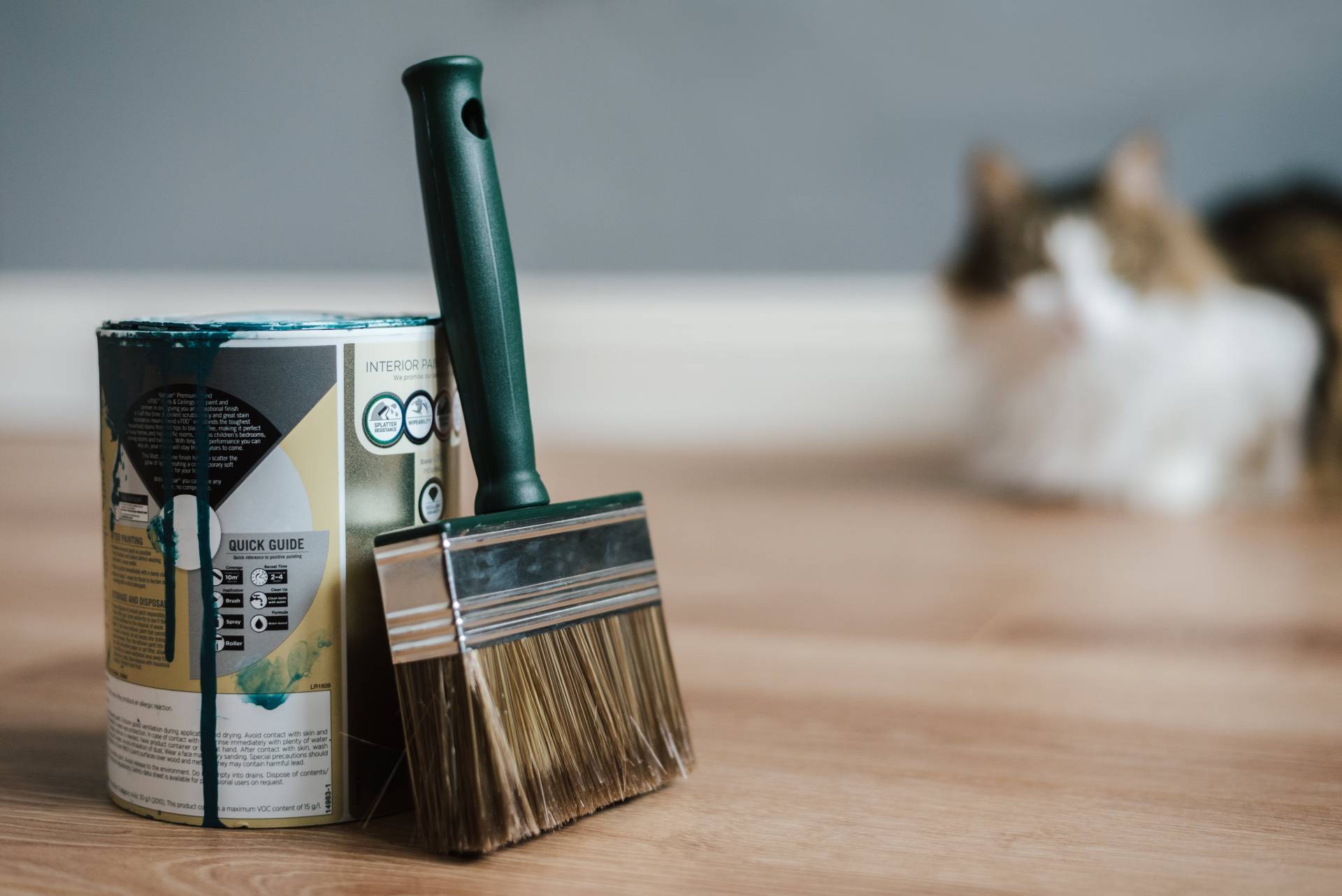 4 raisons de faire appel à un peintre professionnel pour ses travaux